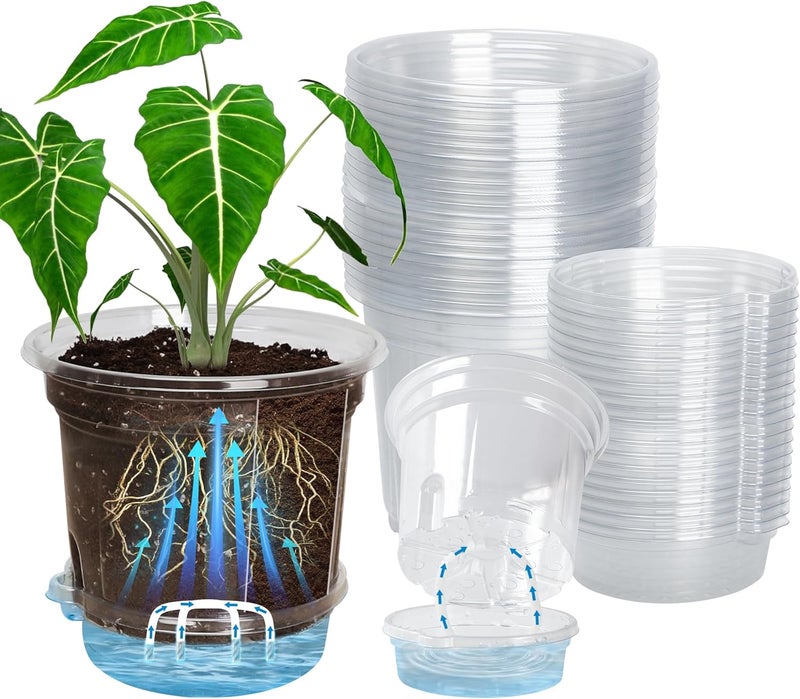 Bluepro 20 Pack 5 Inch Clear Self Watering Plant Pots with Bottom Water Tray & Watering Rope, Transparent Nursery Pots with Drainage for Seedlings, Herbs, and Houseplants - Image 1